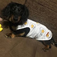 松岡佑樹