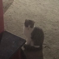 フジミ｜フロントエンド