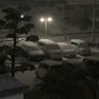 そのけん