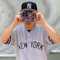 ヤナギサワサイカ