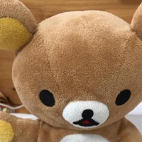 🐻
