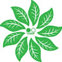 morio morikawa