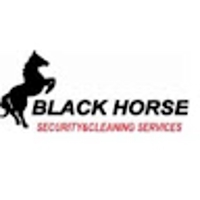 Blackhorse security