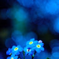 ホソイ　タカノリ