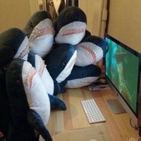 しゅう