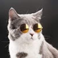 IT M