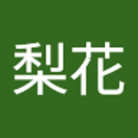 飯田梨花