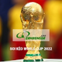 Soi Kèo World Cup