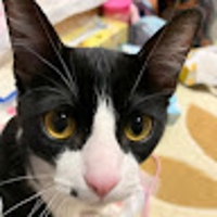 枝豆ガッチョス