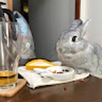 KIYOBO VISIONキヨボ