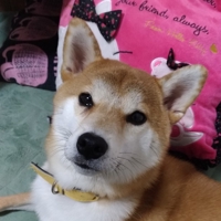 西村　創