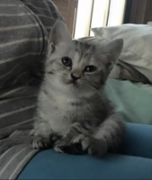 unite0523@gmail.com 工藤