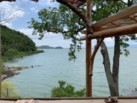 Tanayo