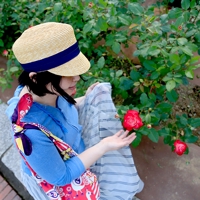 piyo-ko