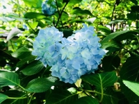 社会保険労務士　美紀