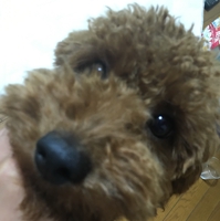 元気