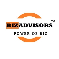bizadvisors