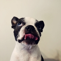 Bon