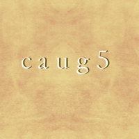 経営者様の右腕ライター(caug5)