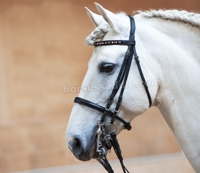 horse-bridle