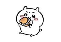 kakocchi