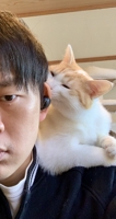 y-kato