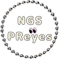 NGS PReyes@元SEのパソコン教室経営者