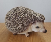 yoshicef0