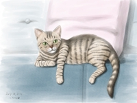 Chappy Tabby