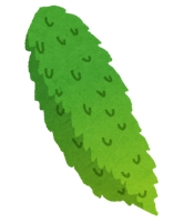 m.t