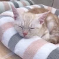 いしづか