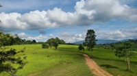 mozuku