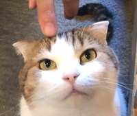 h846