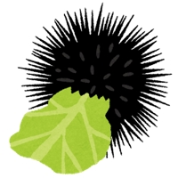 うにきゃべ