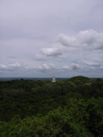 kodah