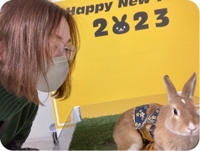 【案件獲得率UP】クラウドソーシングサイト案件応募文 添削します-image1