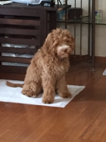 海外投資を考える会