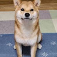竹政俊和