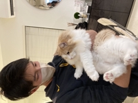 りっくん6___