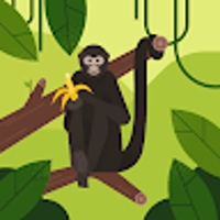 Moneky Banana