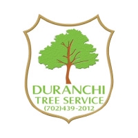 duranchitree