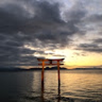 井阪阿怜