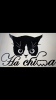 Hachima