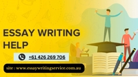 essaywriting5