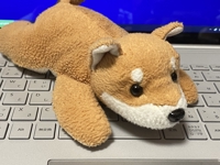 たかぎ@RPAやEUC関連