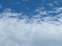bluesky35