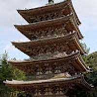 shintaro yanagi