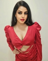 bangalorecallgirl0