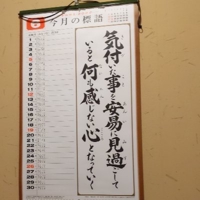 SaKi@16日後にはクビになるかもしれない駆け出し崖っぷちエンジニア