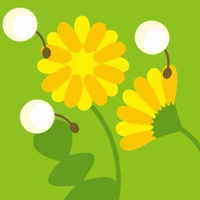 夏川大空@プログラミング学習中